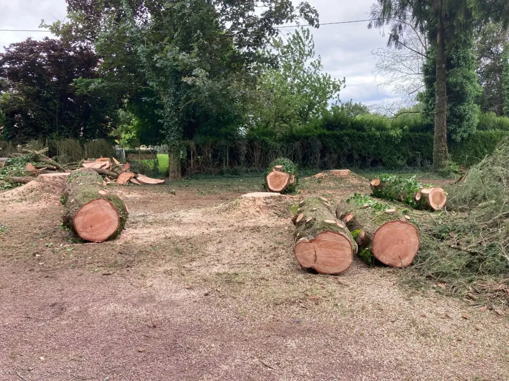 Vente de bois à Bressuire
