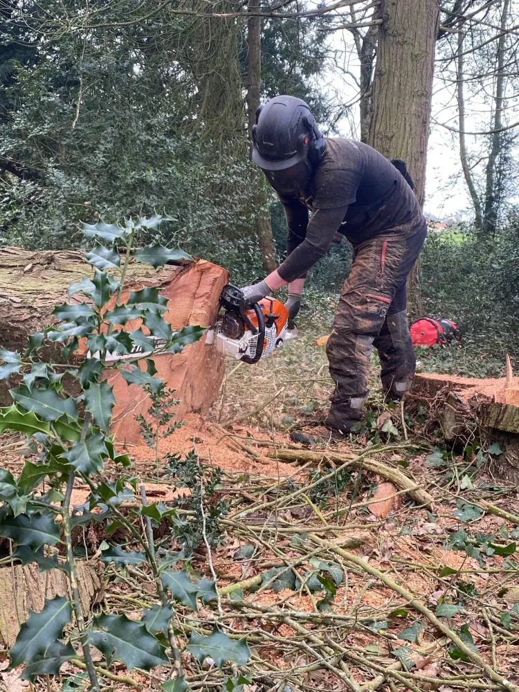 Broyage de bois (3)