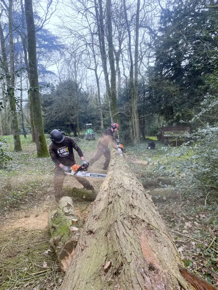 broyage-bois